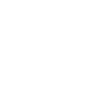 Logo Blanc